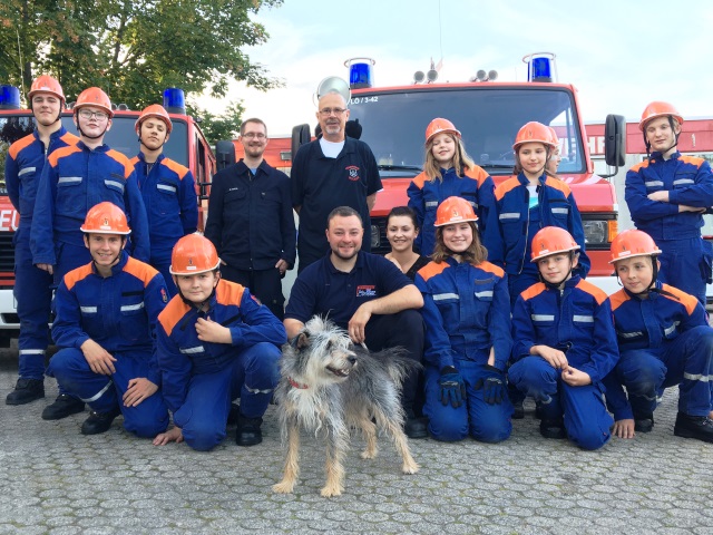 Tierrettung - entlaufener Hund bei der JF