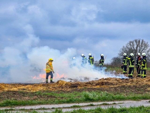 Vegetationsbrandbekämpfung