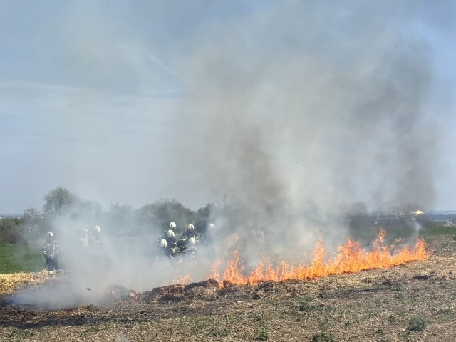 Vegetationsbrandbekämpfung