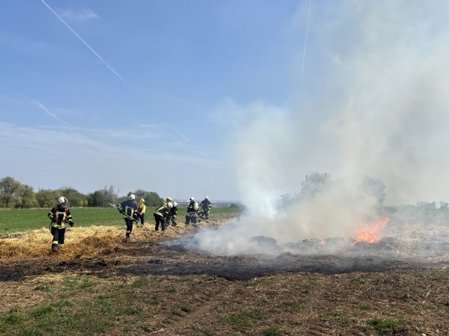 Vegetationsbrandbekämpfung