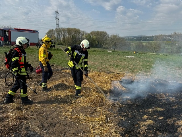 Vegetationsbrandbekämpfung