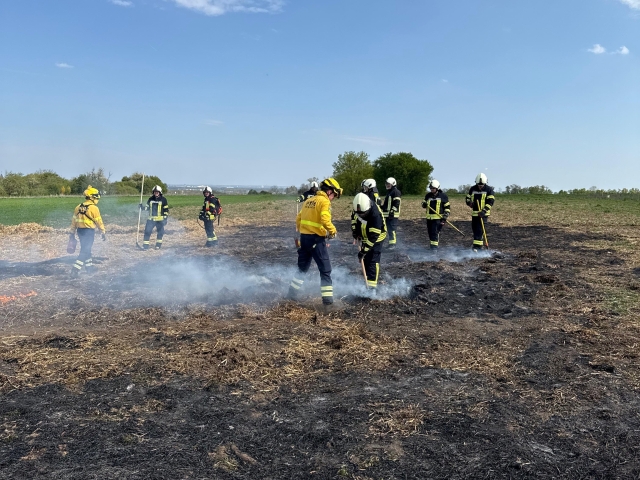 Vegetationsbrandbekämpfung